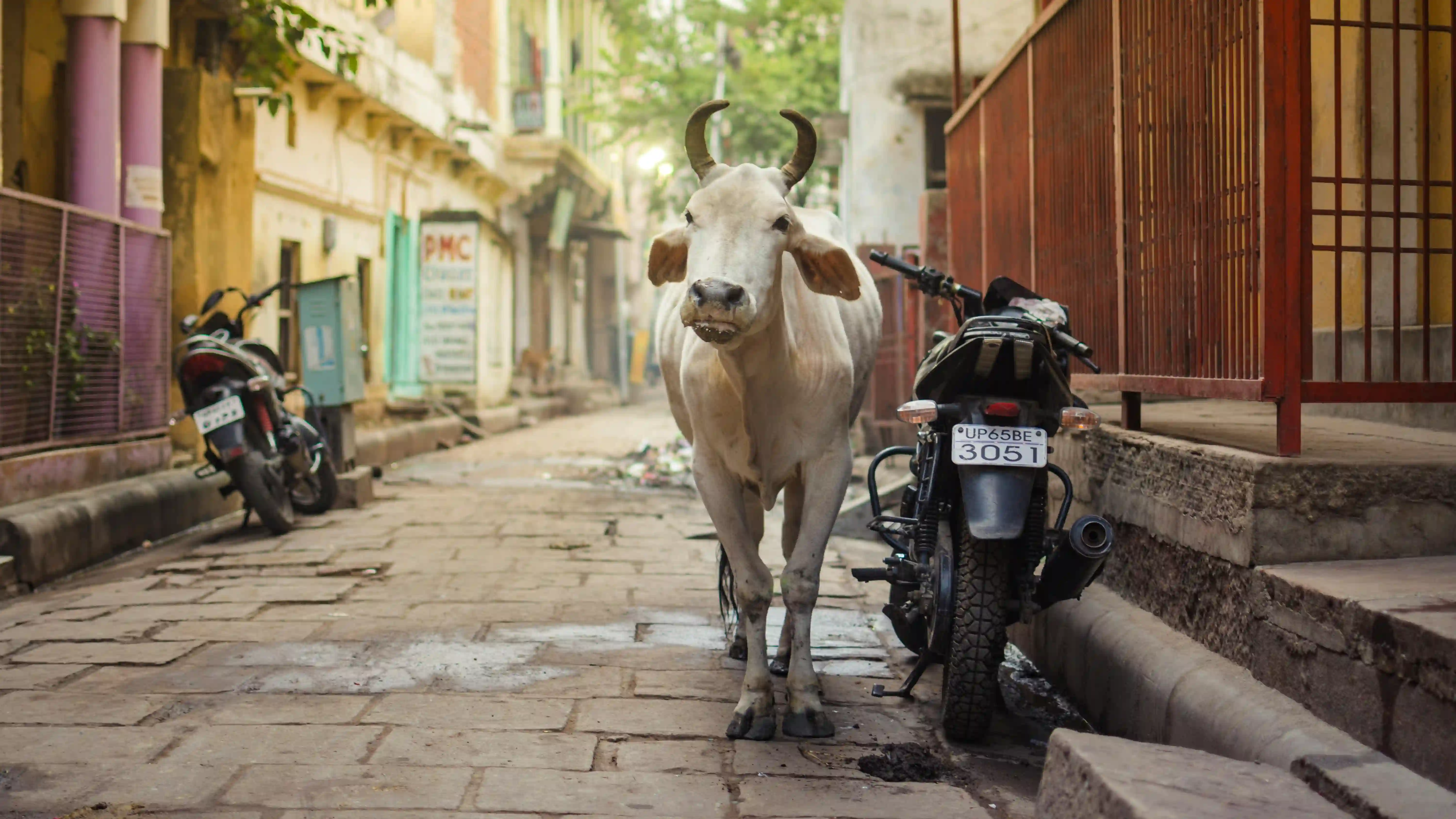 Varanasi-walk-tour